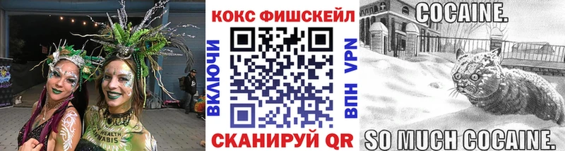 где можно купить   Юрьевец  Cocaine 98% 