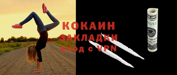 дурь Арсеньев